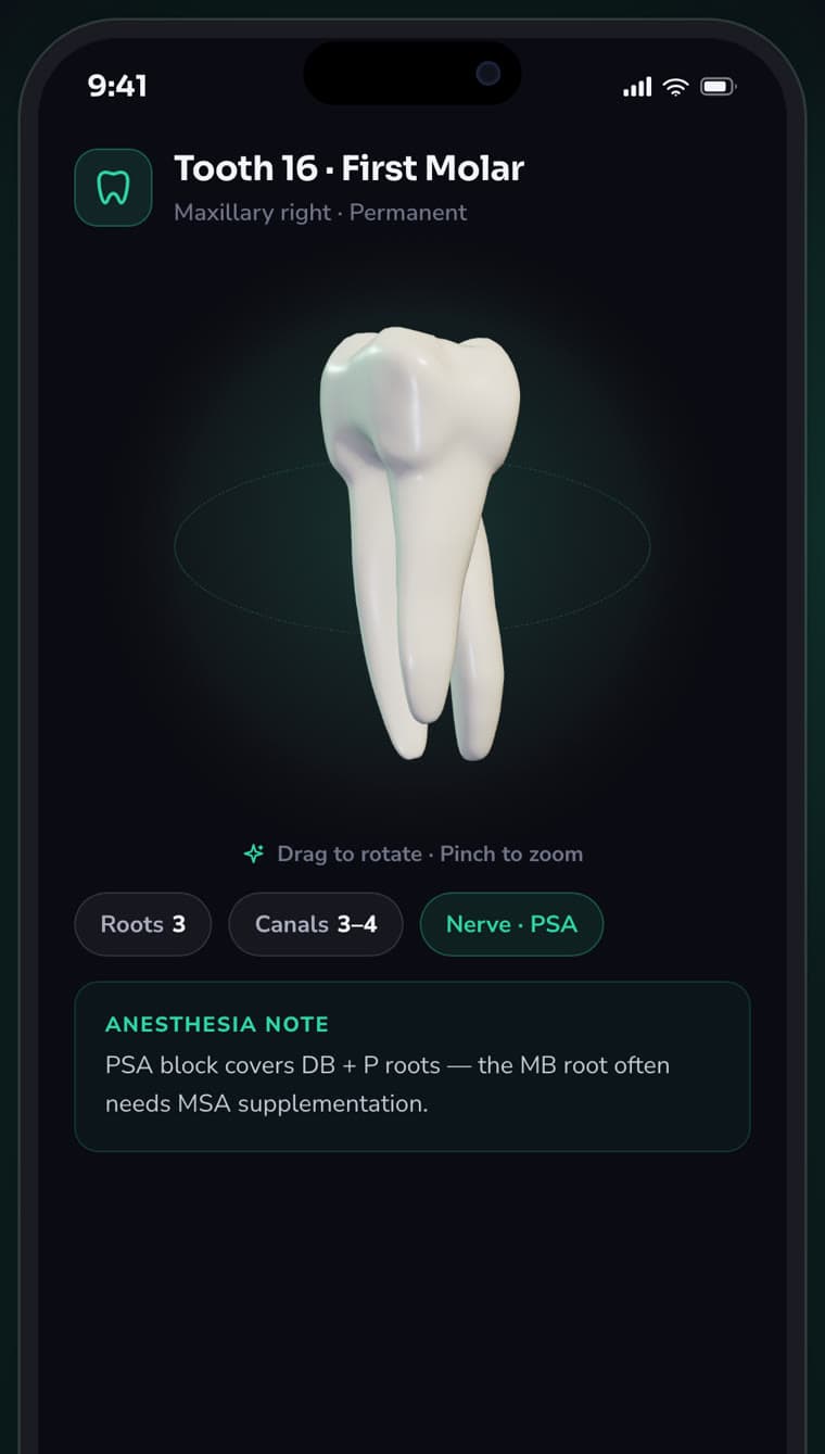 Dentalverse tooth atlas screen with 3D tooth anatomy