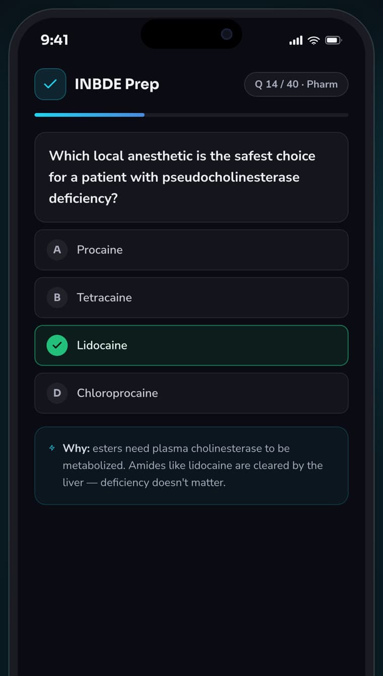 Dentalverse INBDE prep screen with study cards
